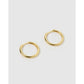 Scarlet Hoop Earrings - Gold - Earrings