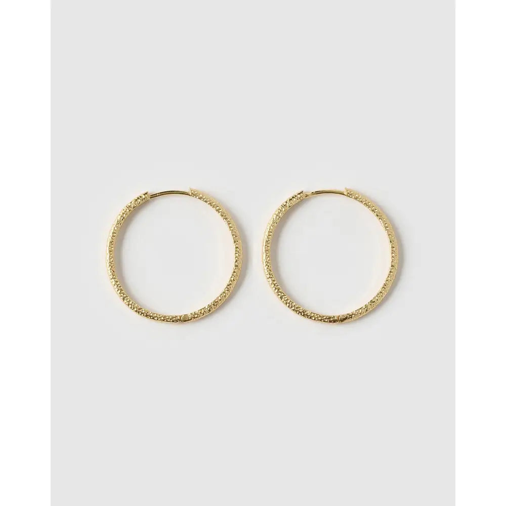 Sebastian Hoop Earrings - Earrings