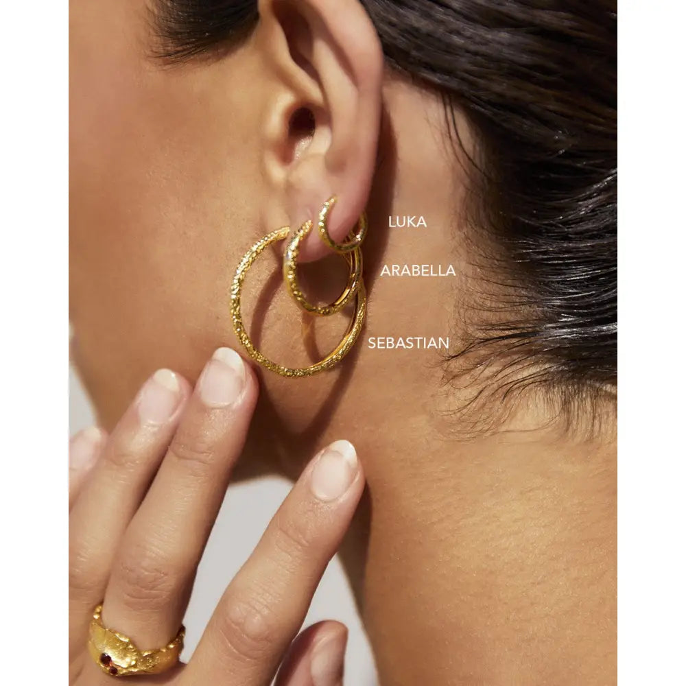 Sebastian Hoop Earrings - Earrings