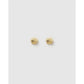 Shelli Gold Stud Earrings - Earrings