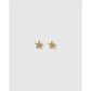 Starfish Gold Stud Earrings - Earrings
