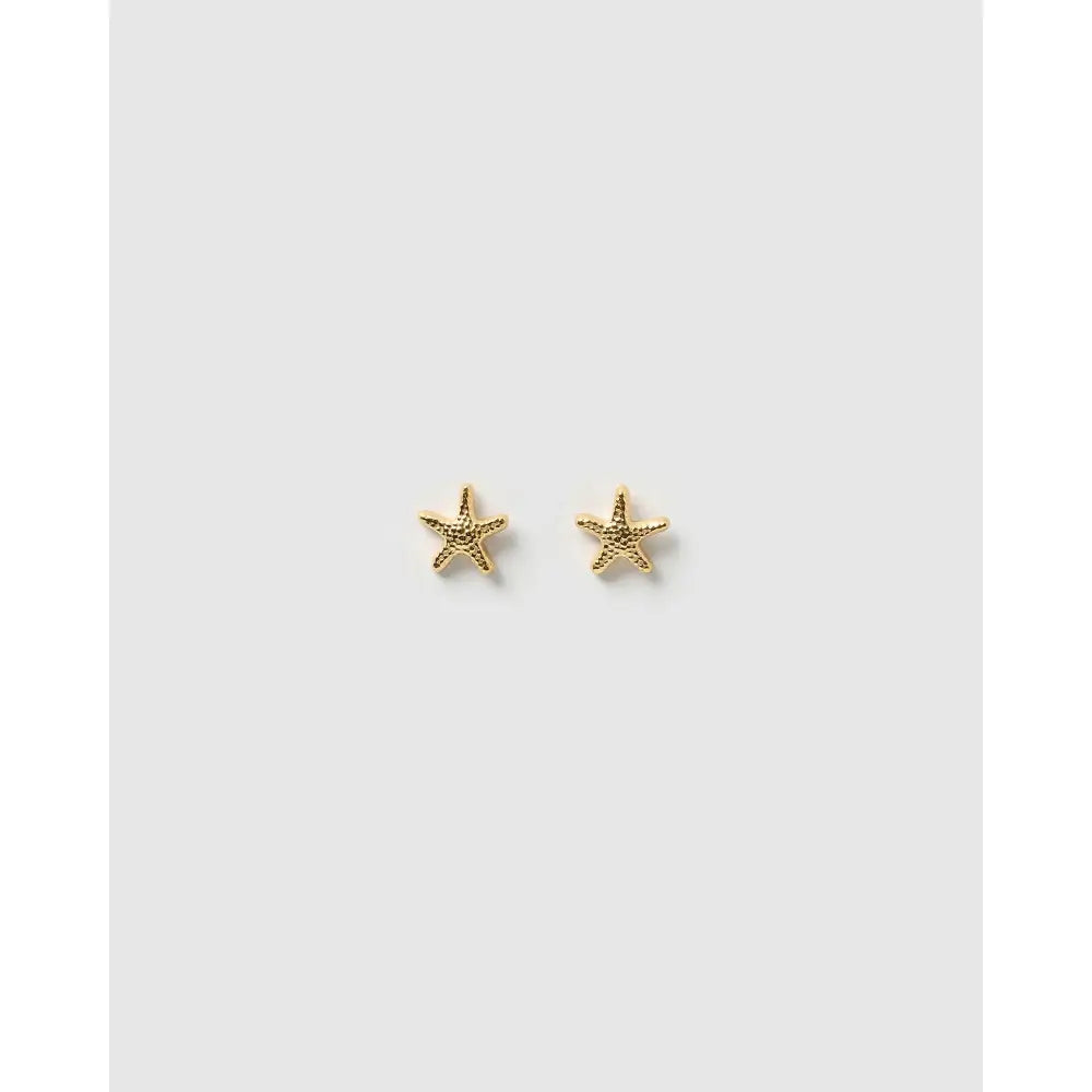 Starfish Gold Stud Earrings - Earrings