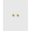 Starfish Gold Stud Earrings - Earrings