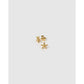 Starfish Gold Stud Earrings - Earrings