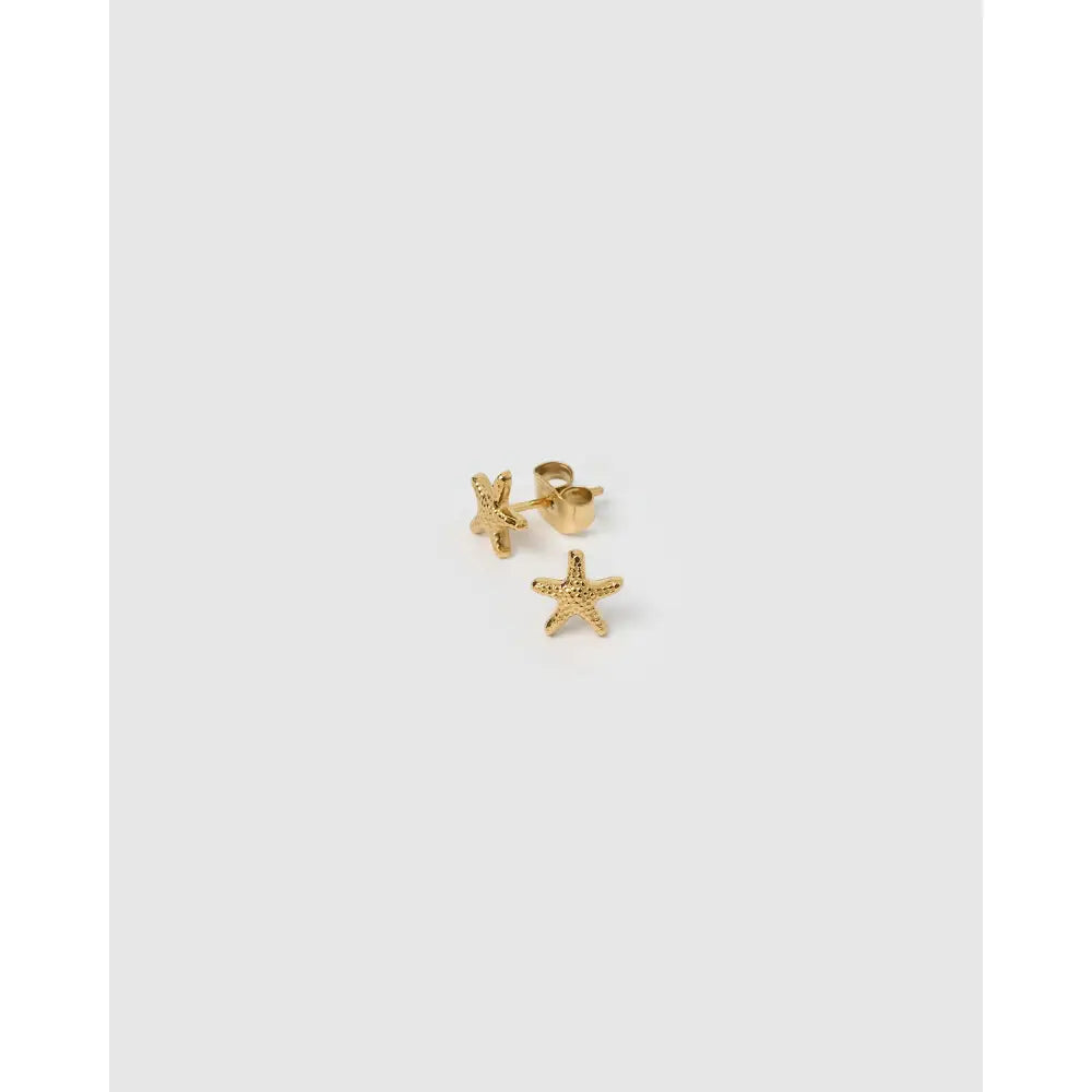 Starfish Gold Stud Earrings - Earrings