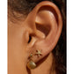 Starfish Gold Stud Earrings - Earrings
