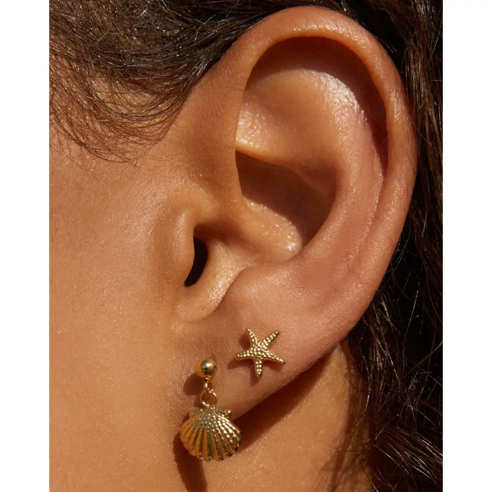 Starfish Gold Stud Earrings - Earrings