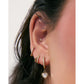 Sugar Gold Huggie Earrings - Earrings