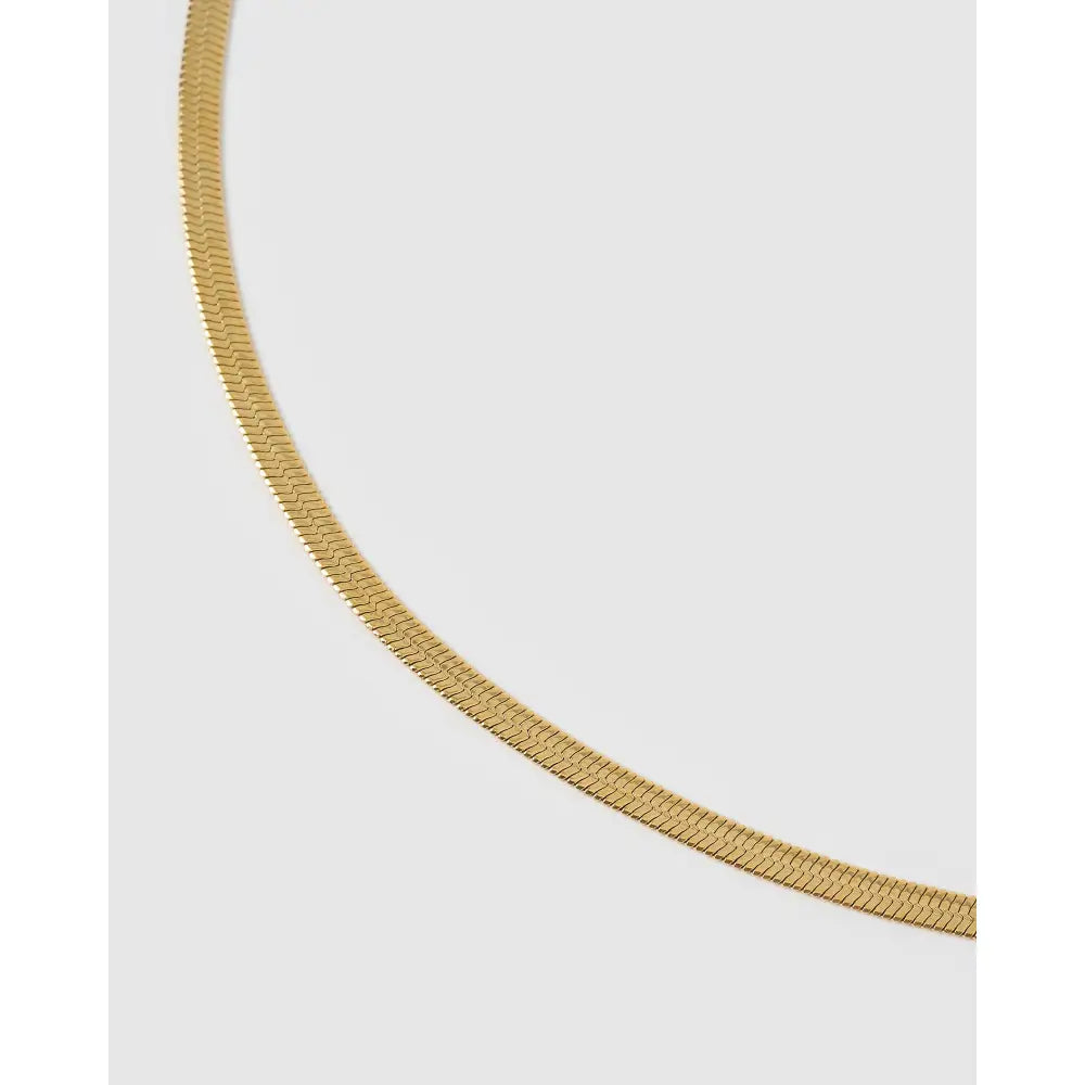 Sylvia Snake Chain Necklace - Necklaces