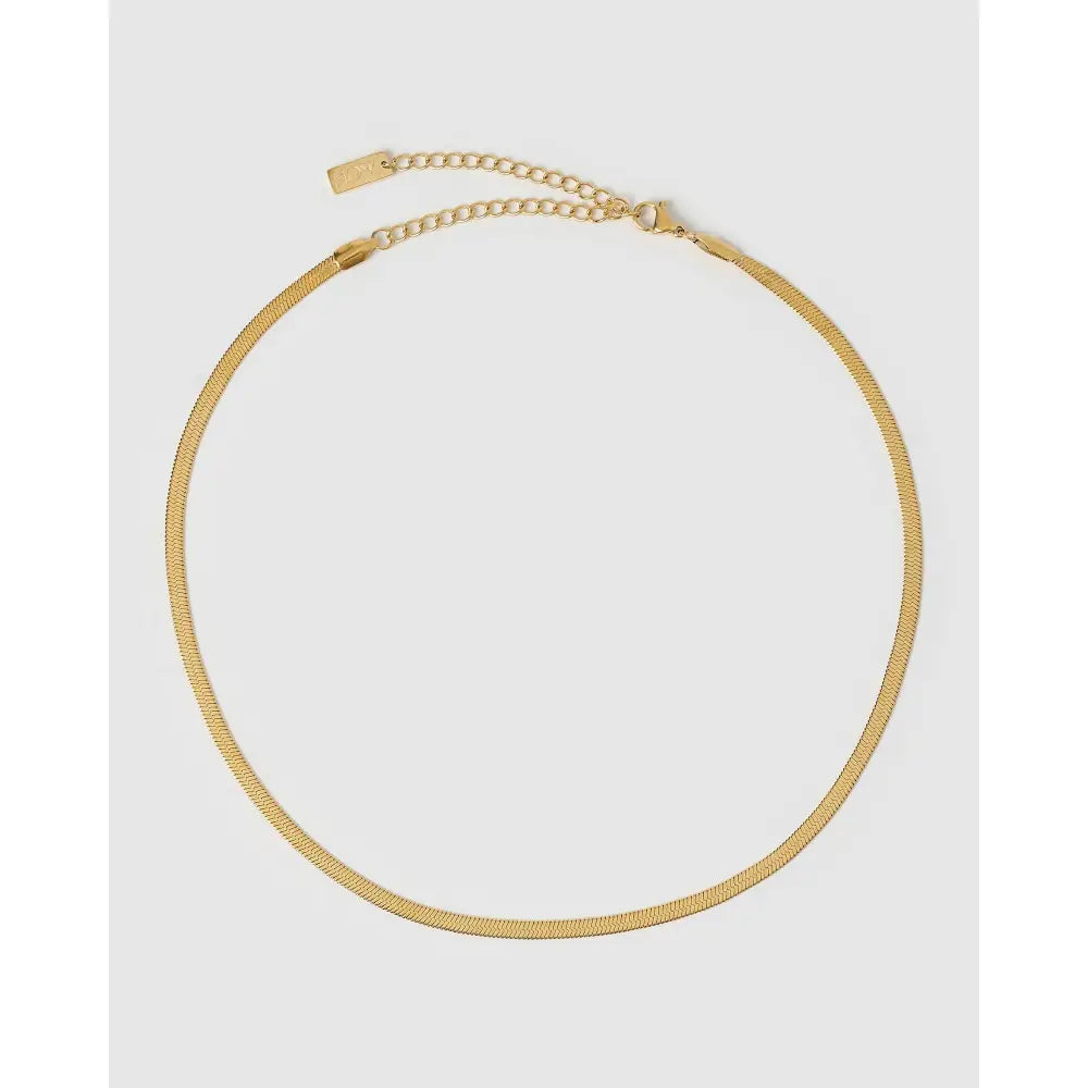 Sylvia Snake Chain Necklace - Necklaces