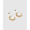 Tilly Gold Hoop Earrings - Earrings