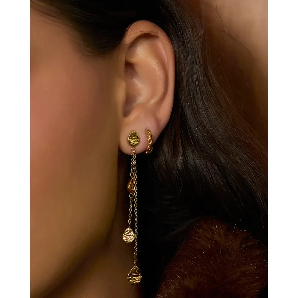 Zephyr Gold Earrings - Earrings