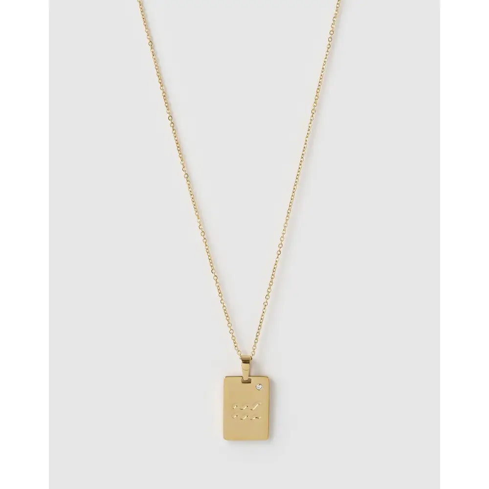 Zodiac Gold Tag Necklace - Aquarius - Necklaces
