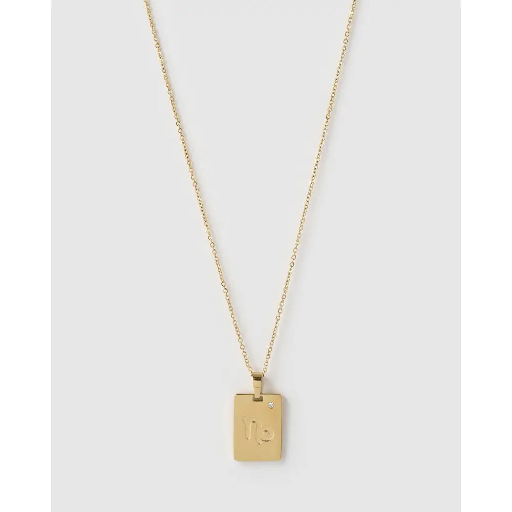 Zodiac Gold Tag Necklace - Capricorn - Necklaces